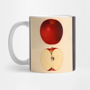 Rome Beauty Apple Mug